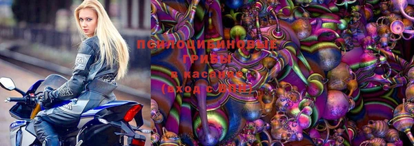 спиды Михайлов